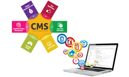 CMS Development